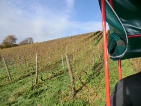 Weinprobe beim Brücke-Ohl 008.jpg