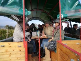 Weinprobe beim Brücke-Ohl 014.jpg
