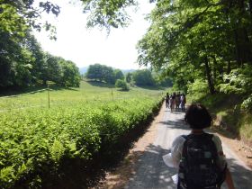 Wandern und Singen im Odenwald 035.jpg