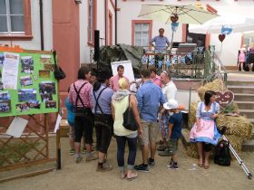 Bayrisches Sommerfest 2012 043.jpg
