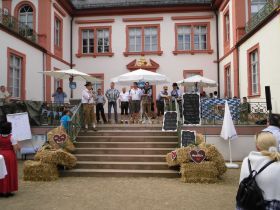 Bayrisches Sommerfest 2012 064.jpg