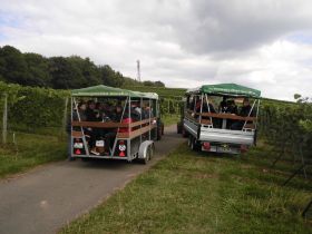 Weinprobe 2012 005.jpg