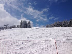 IMG_5483.JPG