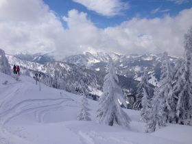 IMG_5490.JPG